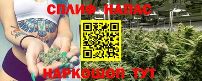 сатива Беслан