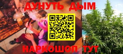 сатива Беслан